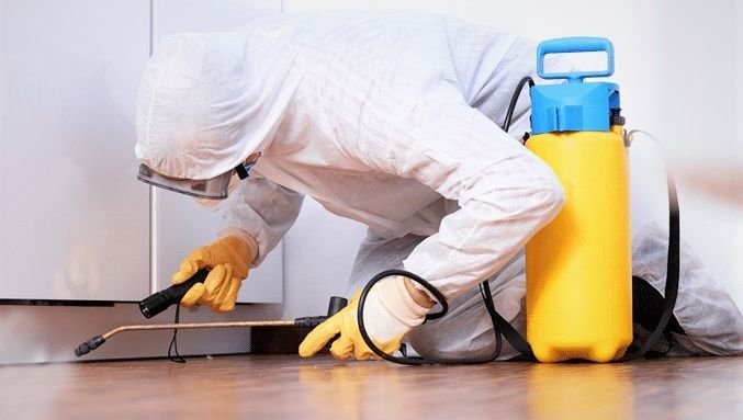 certibiocide , deratisation paris, les deratiseurs parisiens , cafard paris , punaise de lit paris , traitement punaise de lit , deratiseur paris, desinsectisation